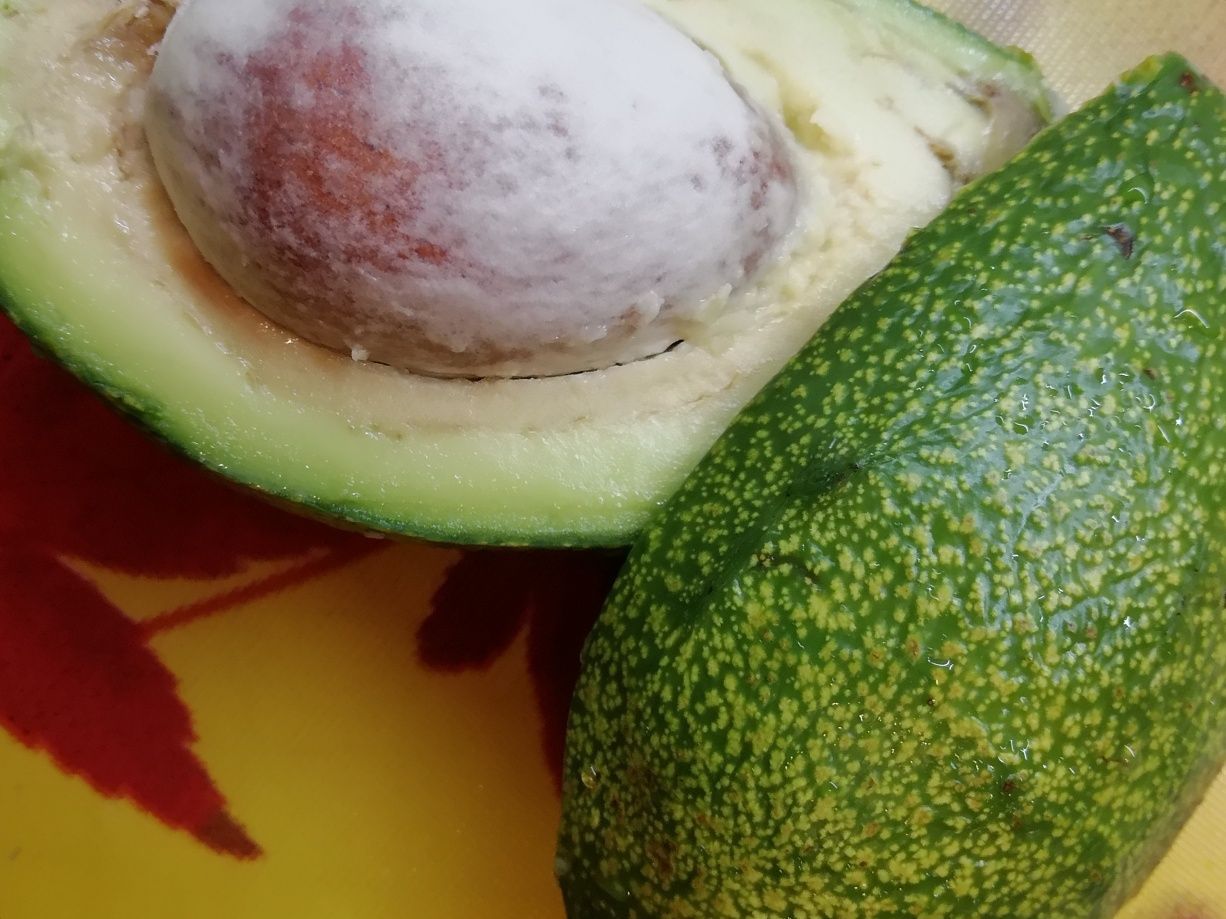 Что такое авокадо?