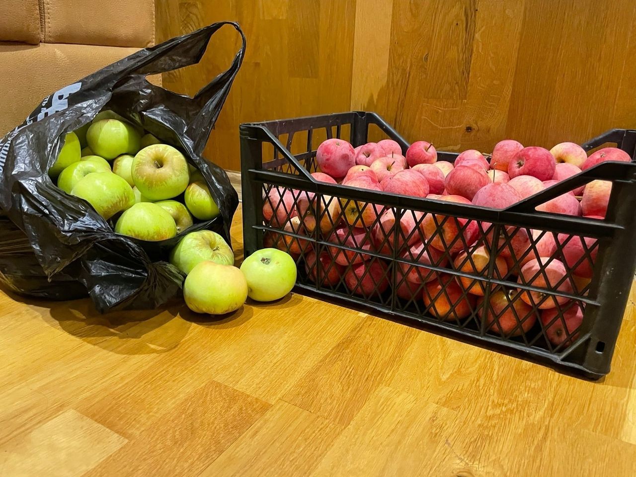 Как правильно хранить зимние яблоки?