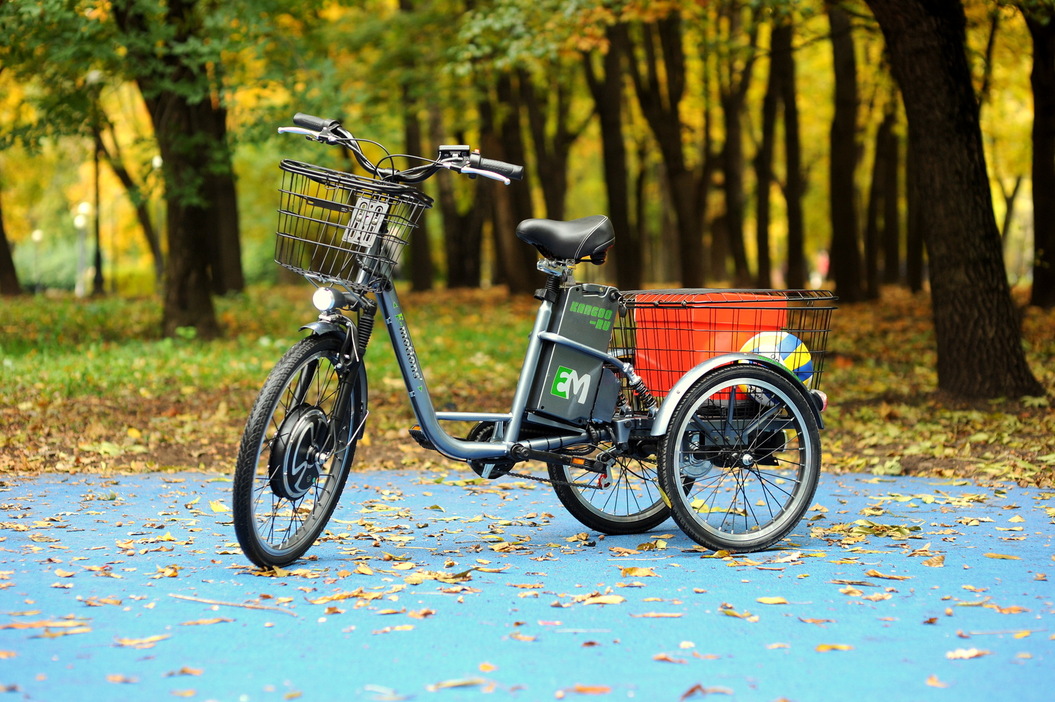Трёхколёсные велосипеды для взрослых 